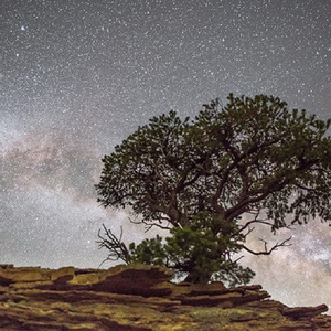 免费看美女裸体🔞🔞🔞中国
